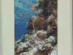 -中国湿地博物馆