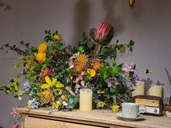 -IFIF 如果花園(宽厚里店)