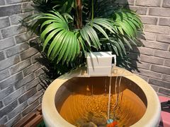 -常赢三兄弟·清真涮肉·清真炒菜(朝阳新城店)