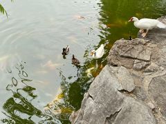 -团结湖公园