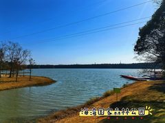 -上海海湾国家森林公园