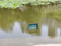 -龙头寺公园