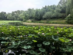 点击看大图 -爱儿美儿童摄影(五路居花园别墅店)