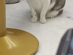 -谜盒子奇幻密室(南屏店)