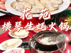 -花苑美食横琴生蚝火锅(拱北粤华路店)