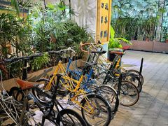 -大视光学•LINDBERG林德伯格•全球手工眼镜集合店(王府井店)