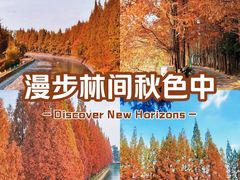 -蜀绣公园