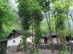 -鹿院坪生态旅游景区