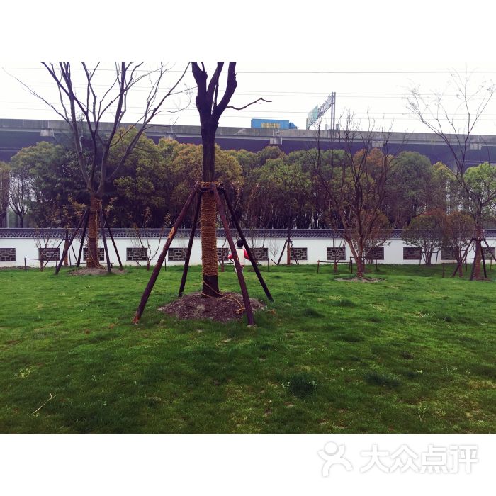 金塔公园-图片-上海周边游-大众点评网