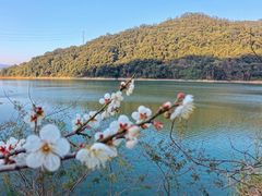 -广州市流溪河国家森林公园