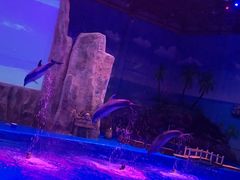 -华夏文旅海洋公园