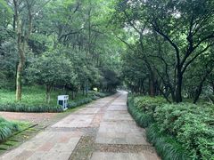 -国生茶庄·地道农家菜团建活动