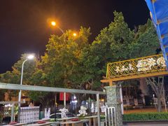 -墨脱石锅椰子鸡•香草鸭•东山羊(大东海店)