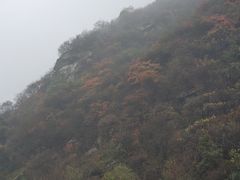 -抱龙峪
