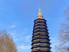 -红梅公园