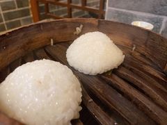 茨毛圆子-双塔老饭店