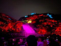 -印象普陀