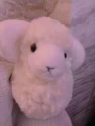 -Xmm小蜜密私密健康抗衰连锁品牌