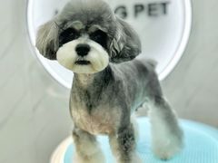 -开普墩Captain网咖俱乐部