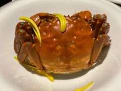 母蟹-蟹榭·本帮江浙菜·蟹宴(五角场合生汇商场店)