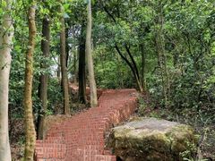 -黄埔油麻山森林公园