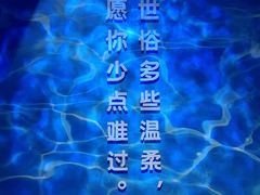 -杭州西湖星空魔幻城(星空艺术馆品牌旗舰店)