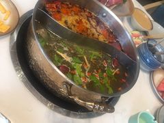 -菌子鲜汤野生菌锅
