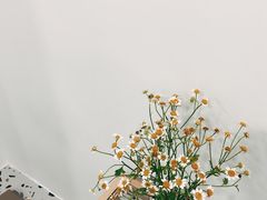 -FULL MOON满月咖啡