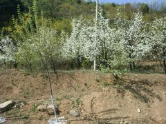 -山西通天峡景区
