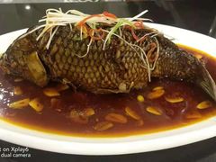 -津菜宋记老房子(鼓楼店)