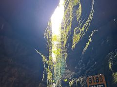 -梭布垭石林景区