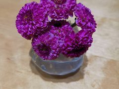 -小西家作(富力爱丁堡店)