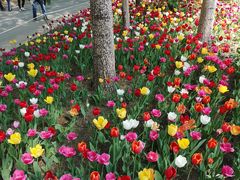 -长春公园(普阳街道)