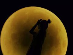 -深圳独角兽星空艺术馆