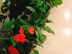 -曲江惠宾苑宾馆(大雁塔大唐不夜城店)