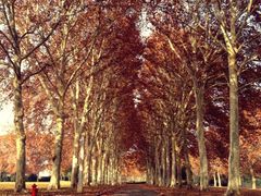 iphone_upload_pic-河南省黄河迎宾馆