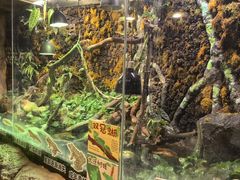 -正佳雨林生态植物园