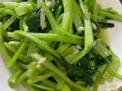 -力哥地道海南菜·联谊文昌鸡老店