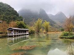 -靖西鹅泉风景区