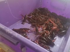 -运德成·天津老味烧烤(广开二马路店)