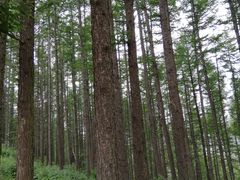 -驼梁风景区