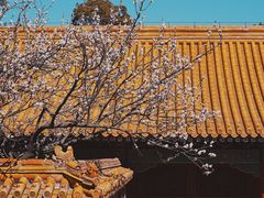 -故宫博物院(故宫)