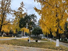 -成都中医药大学(温江校区)