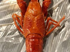 -虎虎龙虾大排档(双井店)