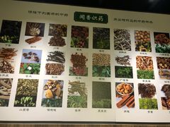 -广东中医药博物馆