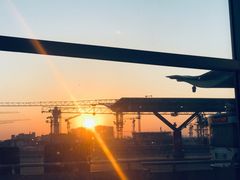 -小杨生煎(萧山机场店)