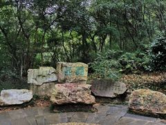 -敬亭山风景名胜区