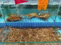 -友鹏海鲜(新宜白大道店)