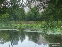 -艾溪湖湿地公园