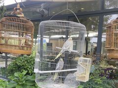 -蘇河湾·新鲁菜·泰山宴(泰山店)